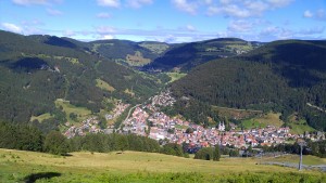 טודנאו todtnau