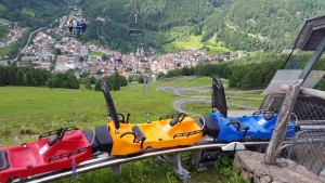 מגלשות ההרים בעיירה Todtnau