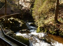 Ravenna Gorge