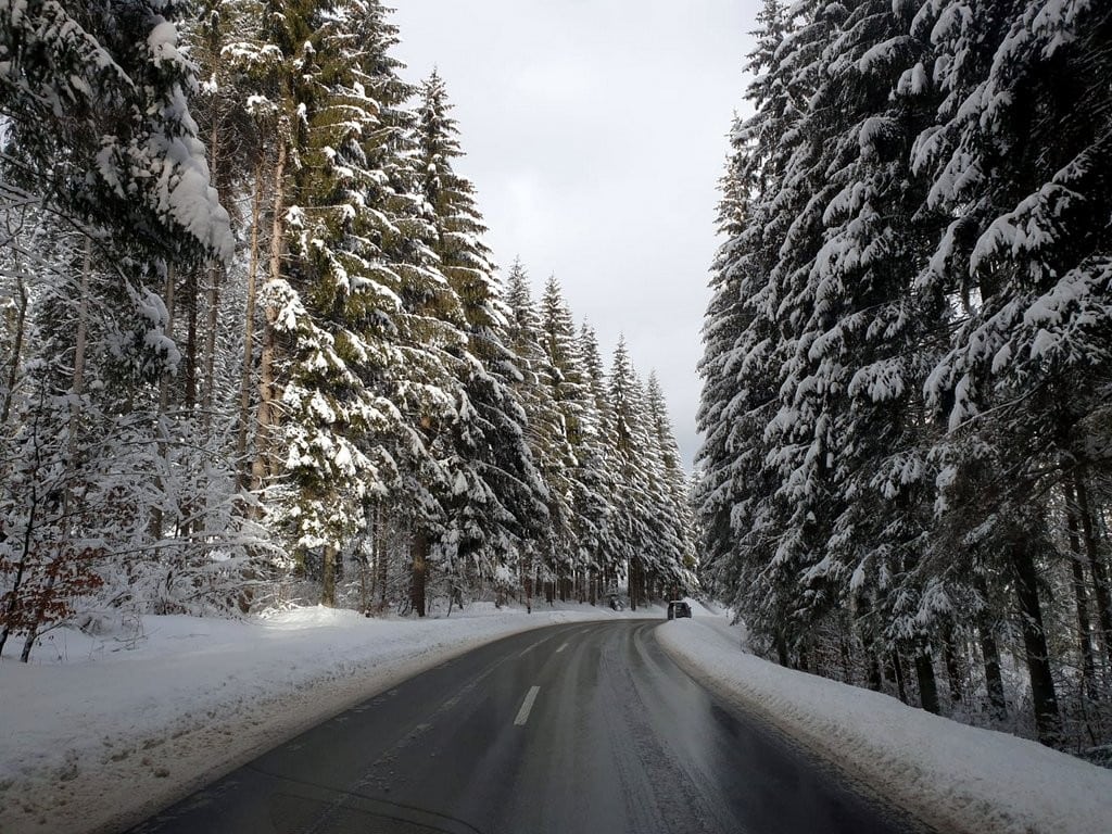 היער השחור בחורף