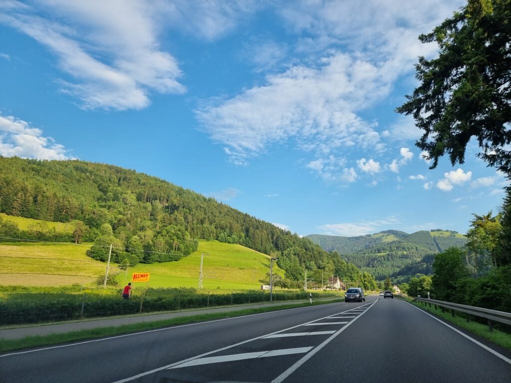 כביש ביער השחור